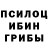 Галлюциногенные грибы мухоморы dgager 228