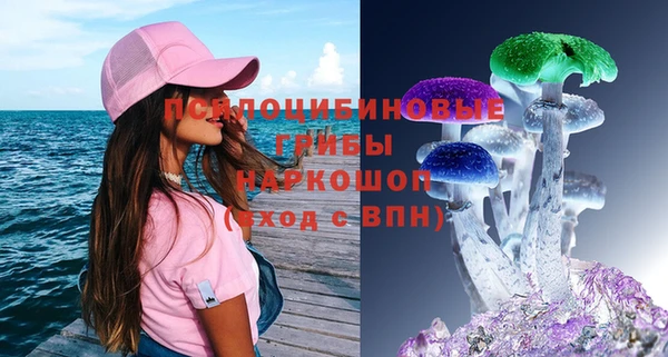 амф Абаза