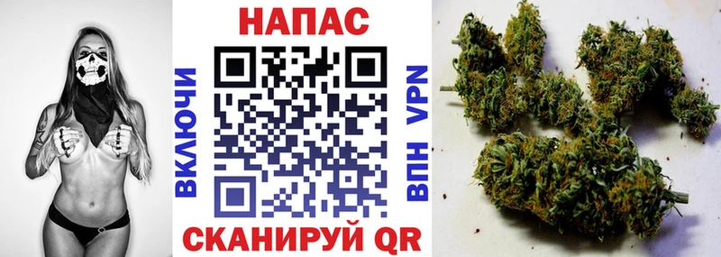 купить  сайты  Новосиль  Канабис Amnesia 